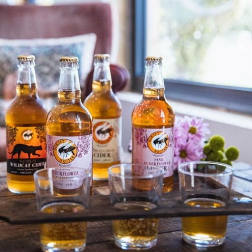 Cider Farm Tour & Tasting for Two at Bridport in Dorset 